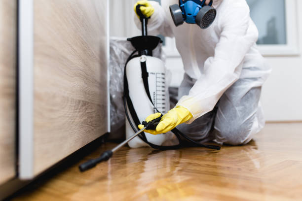 Best Cockroach Control Services  in Grover, WY