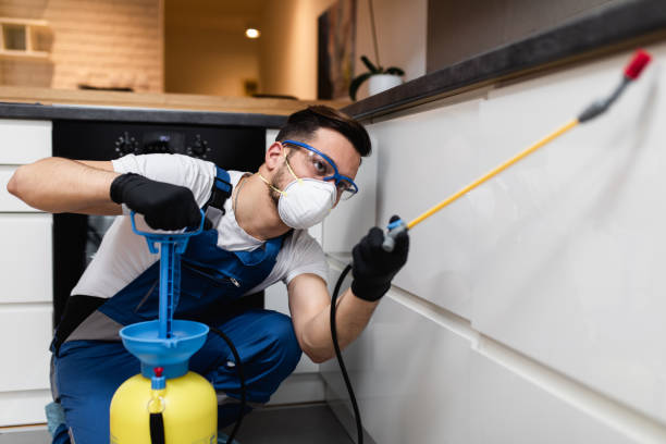 Best Affordable Pest Control Services  in Grover, WY