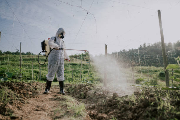Best Mosquito Control Services  in Grover, WY