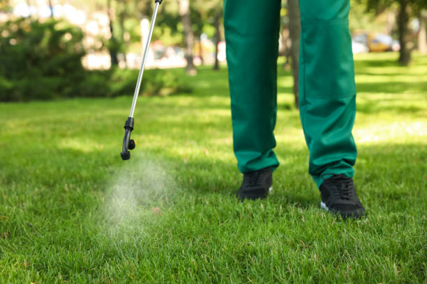 Best Ant Control Services  in Grover, WY