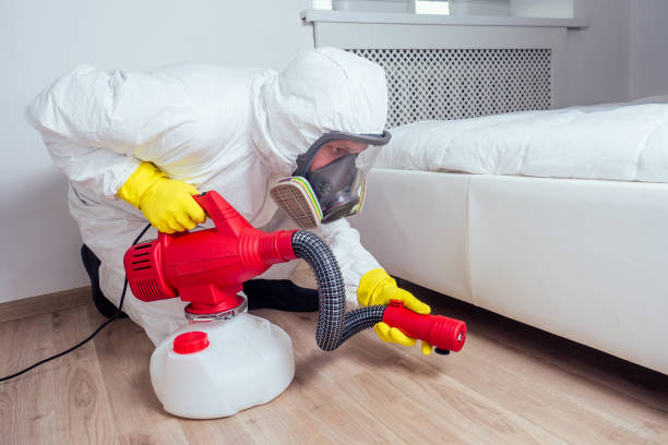 Best Bed Bug Extermination  in Grover, WY