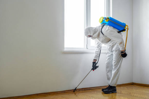 Best Pest Control Treatment  in Grover, WY