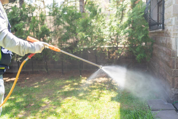 Best Affordable Exterminators  in Grover, WY