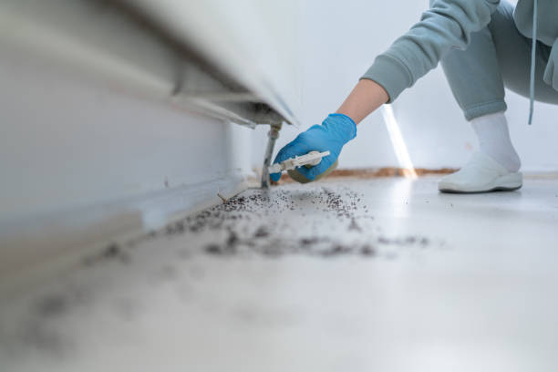 Best Insect Control  in Grover, WY